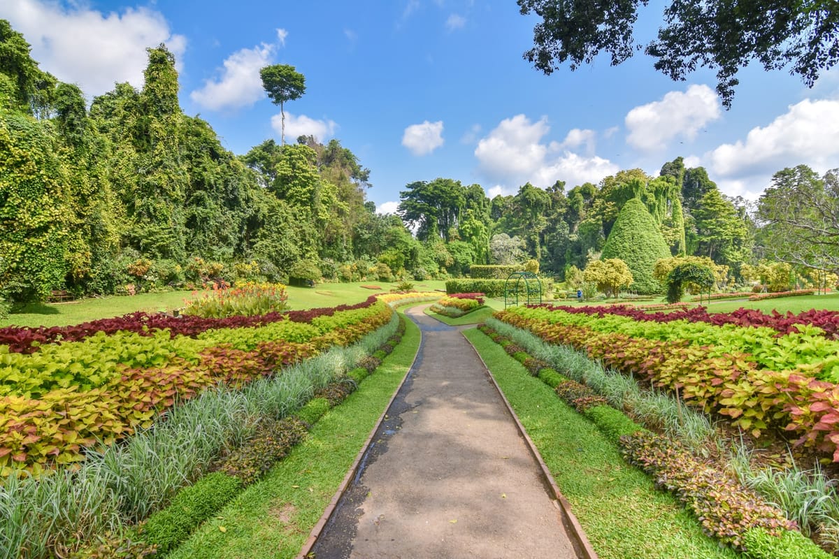 Peradeniya Botanic Gardens