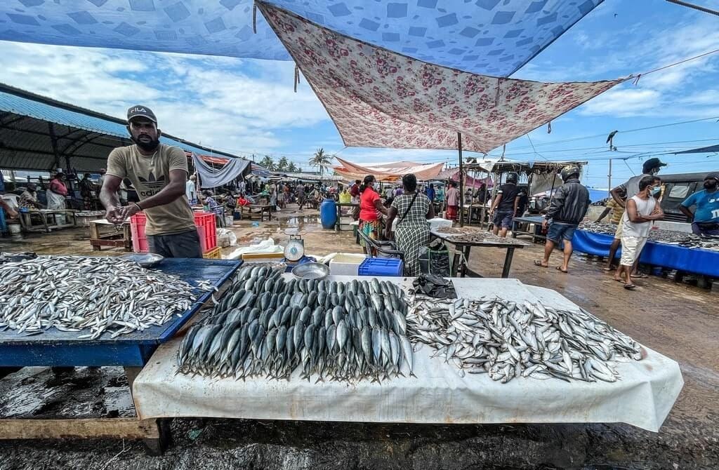 Negombo Fish Market