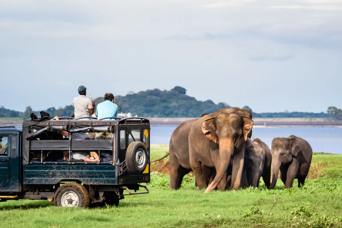 Udawalawe National Park